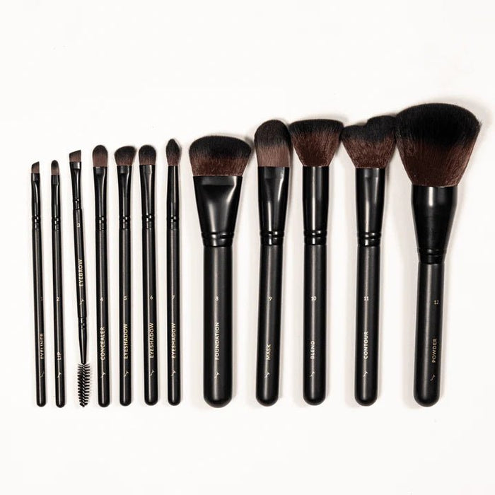 Eco Tan 12 Piece Vegan Brush Collection